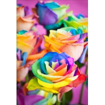 Stickers muraux déco : rose multicolore