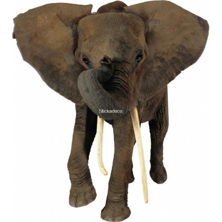 Sticker Elephant 1