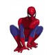 Sticker spiderman