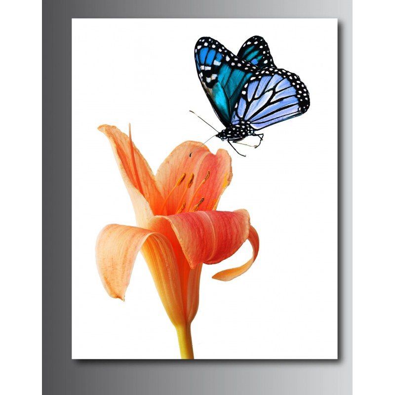 Beau papillon fleur toile Art photo impression décoration 5 tailles choisissez