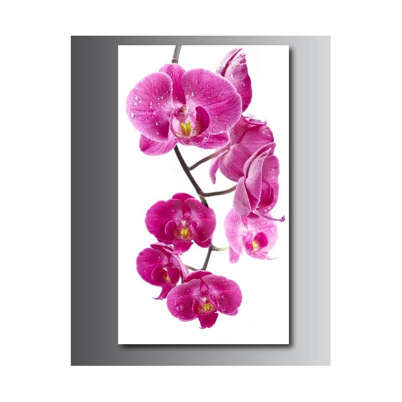 Tableaux toile déco rectangle verticale galet orchidée 2558830 