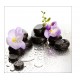 Sticker pour Lave Vaisselle Orchidee galets