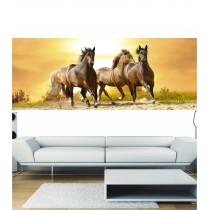 Stickers panoramique chevaux au galop