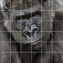 Stickers carrelage mural déco gorille