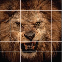 Stickers carrelage mural déco Lion