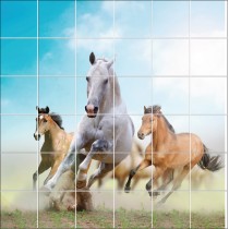 Stickers carrelage mural Chevaux