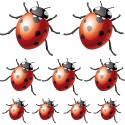 Stickers 9 Coccinelles