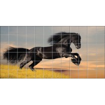 Stickers carrelage mural Cheval