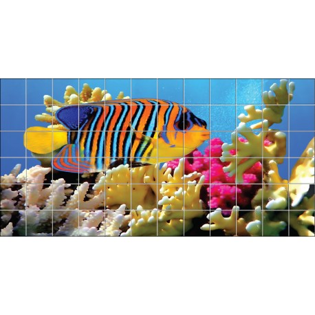Stickers carrelage mural Poisson mer rouge