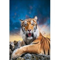 Stickers muraux déco : Tigre