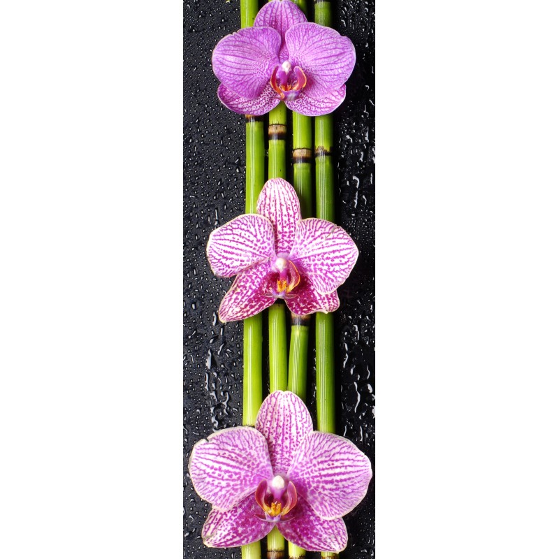 bambou orchidée 1225 Stickers muraux déco 