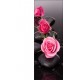 Stickers porte Roses Galets