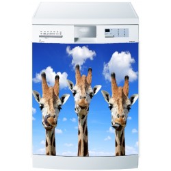 Sticker Lave Vaisselle Girafes