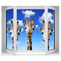 Stickers fenêtre déco : Girafes