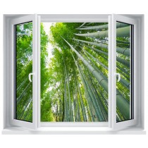 Stickers fenêtre déco : Bambous