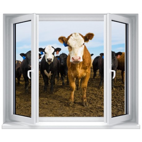 Stickers fenêtre déco : Troupeaux de vaches