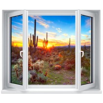 Stickers fenêtre Trompe l'oeil déco : Champs de cactus