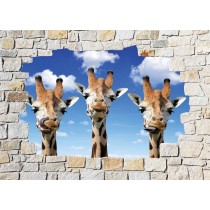 Stickers mural trompe l'oeil pierre déco Girafes