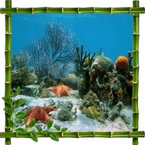 Sticker mural déco bambous Etoiles de mer et corails