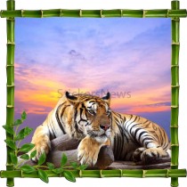 Sticker mural déco bambous Tigre