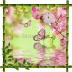Sticker mural déco bambous Papillons et fleurs roses