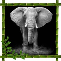 Sticker mural déco bambous Elephant