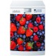 Stickers Lave Vaisselle Fruits