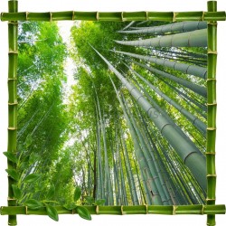 Sticker mural déco bambous Fôret de bambous