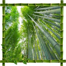 Sticker mural déco bambous Fôret de bambous