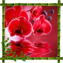 Sticker mural déco bambous Orchidée rouge