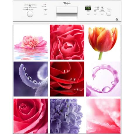 Sticker lave vaisselle Fleurs ou magnet lave vaisselle