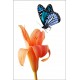 Sticker frigo Fleur papillon - ou magnet frigo