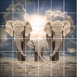 Sticker carrelage mural Eléphants