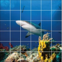 Sticker carrelage mural Requin