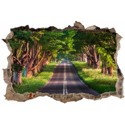 Stickers muraux 3D Route 23841