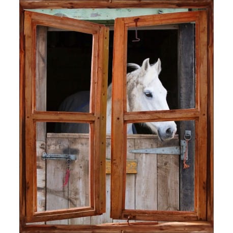 Sticker Fenêtre trompe l'oeil cheval