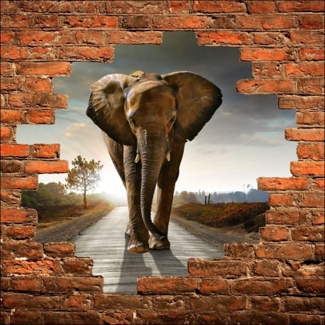 Sticker mural trompe l'oeil Eléphant