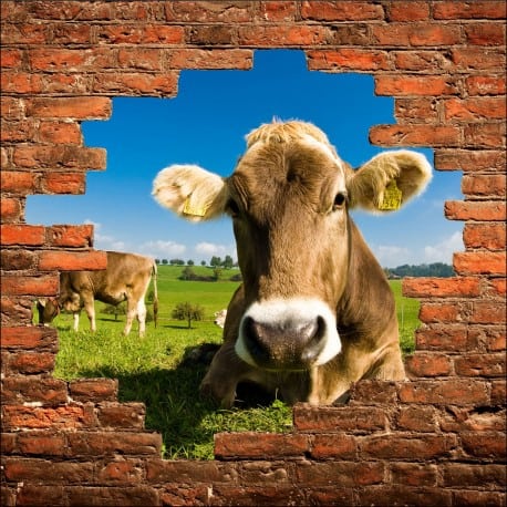 Sticker mural trompe l'oeil Vache