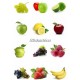 Sticker frigidaire Multifruits