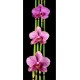 Sticker frigo électroménager déco Fleurs Bambous 70x170cm