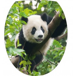 Sticker WC, sticker pour abattant de WC Panda