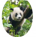 Sticker WC, sticker pour abattant de WC Panda