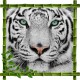 Sticker mural trompe l'oeil déco Tigre