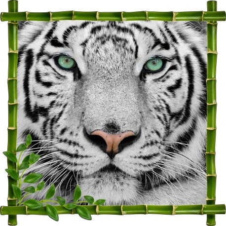 Sticker mural trompe l'oeil déco Tigre