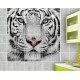 Sticker carrelage mural déco Tigre