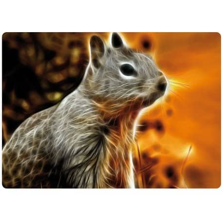 Sticker pc ordinateur portable ecureuil