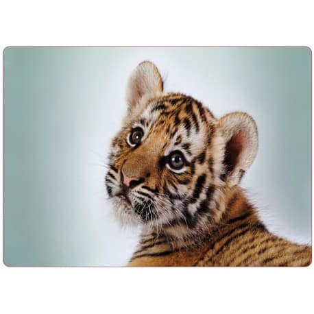 Sticker pc ordinateur portable bebe tigre