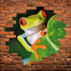 Sticker mural trompe l'oeil mur de pierre grenouille
