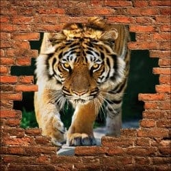 Sticker mural trompe l'oeil tigre 