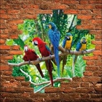 Sticker mural trompe l'oeil perroquets